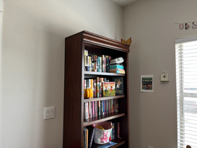 bookshelf